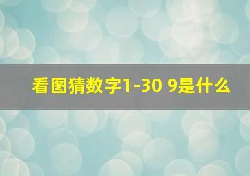 看图猜数字1-30 9是什么